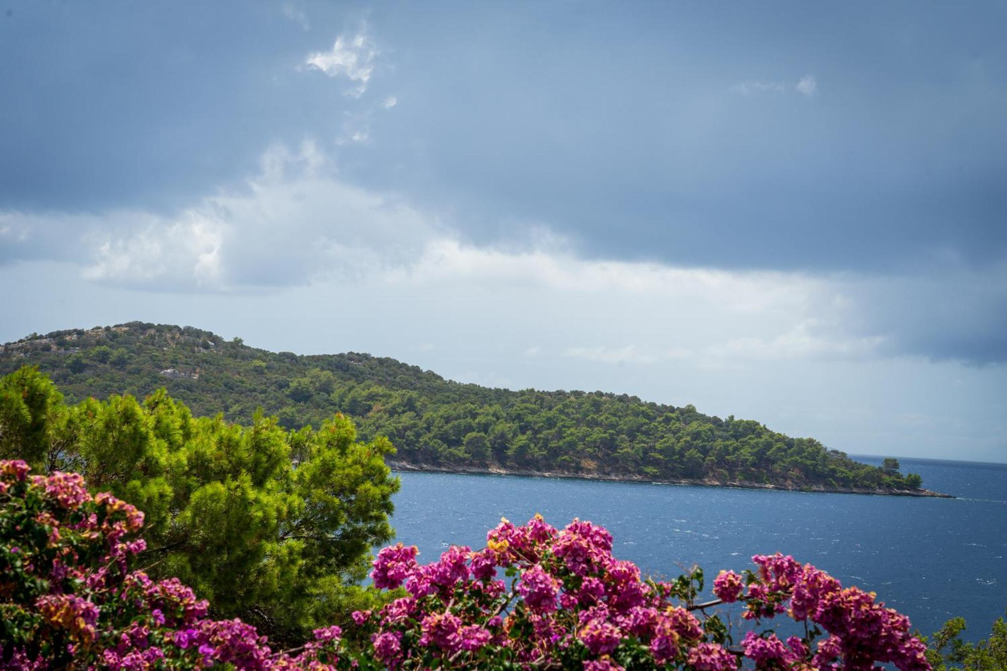 Apartman Ena By The Sea Prizba Rum bild